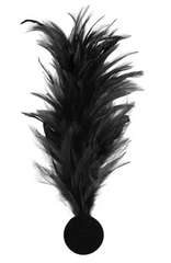 Broche Plumes Noir / La Maison Du Déguisement