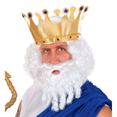 Perruque Dieu Grec avec barbe bouclées / Perruque Olympe / Perruque Neptune / Perruque Poséidon / La Maison Du bDéguisement