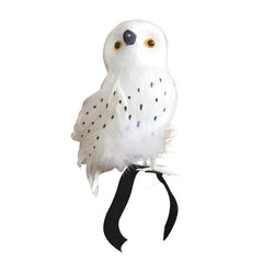 Chouette Blanche / Chouette Blanche De Sorcier / La maison Du Déguisement