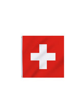 Drapeau de la Suisse, 90x150 CM / Swiss Flag / La Maison Du Déguisement