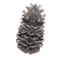 Spray Deco Argent / Bombe peinture Argent / La Maison Du Déguisement