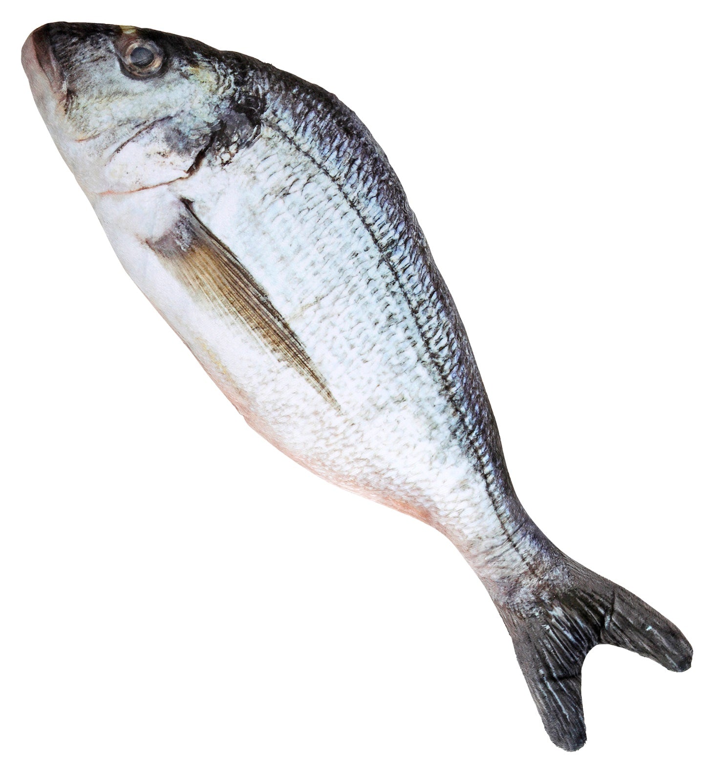 Poisson Réaliste / Poisson éponge / La Maison Du Déguisement