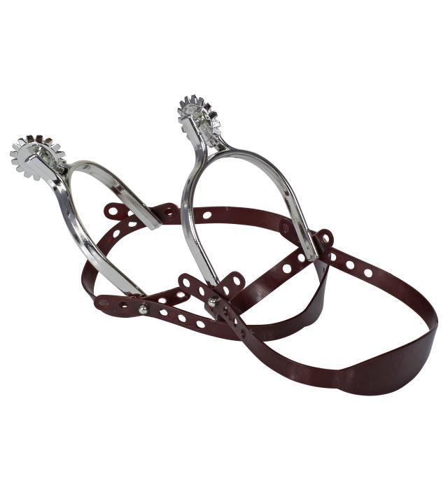 Éperons de Cowboy / 2 éperons argents / Paire d'Éperons Western / La Maison Du Déguisement