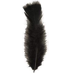Sachet de 50 plumes noires / 50 plumes noires / La Maison Du déguisement