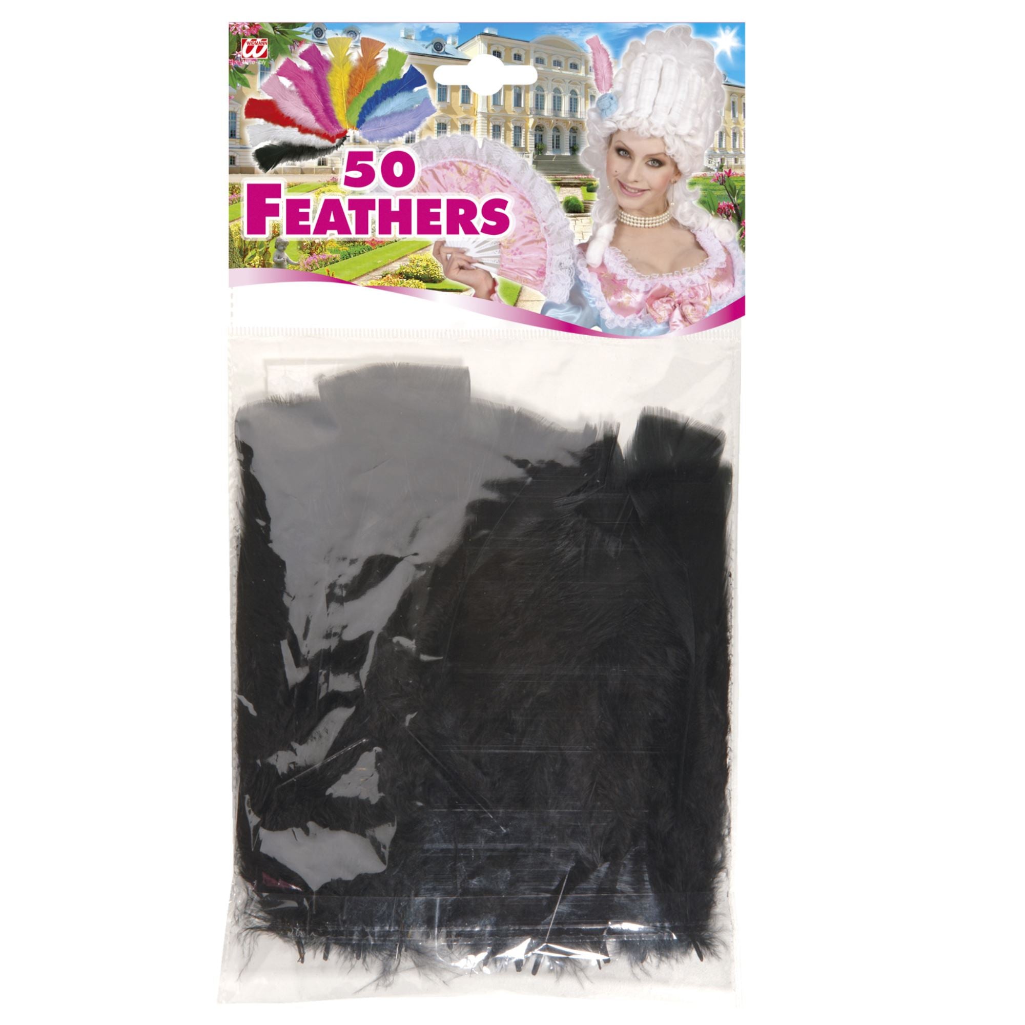 Sachet de 50 plumes noires / 50 plumes noires / La Maison Du déguisement