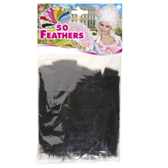 Sachet de 50 plumes noires / 50 plumes noires / La Maison Du déguisement