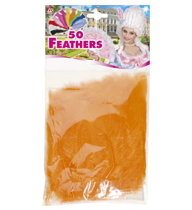 Sachet de 50 Plumes Oranges / 50 Plumes Oranges / La Maison Du Déguisement