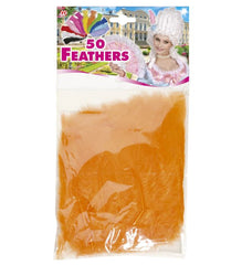 Sachet de 50 Plumes Oranges / 50 Plumes Oranges / La Maison Du Déguisement
