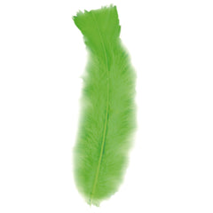 Sachet de 50 plumes vertes / 50 plumes Vertes / La Maison Du déguisement