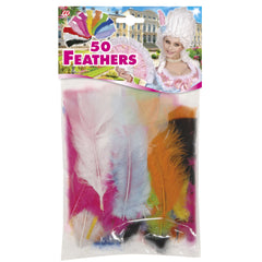 Sachet de 50 plumes Multicolores / 50 plumes Multicolores / La Maison Du Déguisement