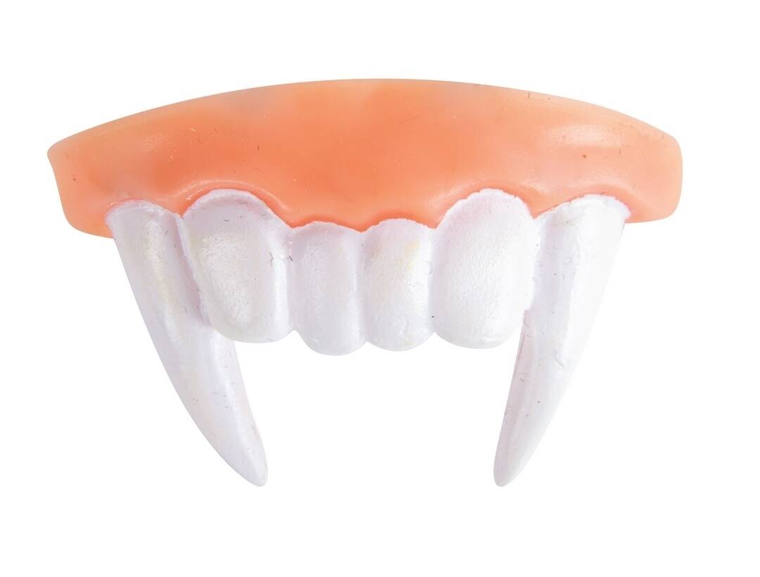 Dentier De Vampire / La Maison Du Déguisement
