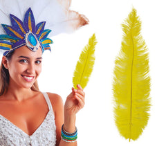 Plume d'autruche GM Jaune / Plume autruche GM Jaune / La Maison Du Déguisement
