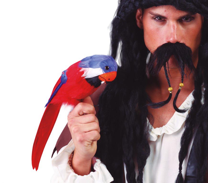 Perroquet Avec Plumes Pirate / Perroquet Avec Plumes Tropical / La Maison Du déguisement