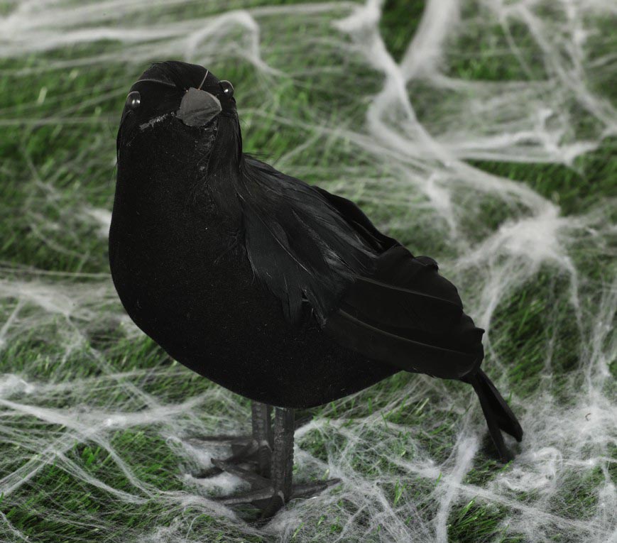 Corbeau à Plumes / Corbeau Noir GM / La Maison Du Déguisement