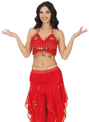 Ceinture En Coin Métallique Belly Danse / Ceinture Orientale / Ceinture Princesse Jasmine En Coin Métallique / La Maison Du Déguisement