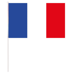 Drapeau à La Main FRANCE / Drapeau France / La Maison Du Déguisement