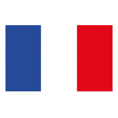 Drapeau France, 60x90 CM / Drapeau Tricolore Français / Pavillon Français / France Flag / La Maison Du Déguisement