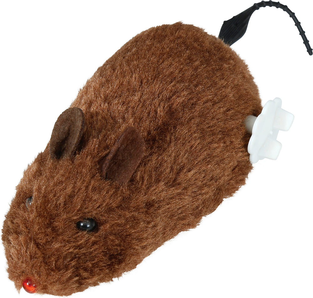 Rat Cordé / Farce Rat Cordé / La Maison Du Déguisement
