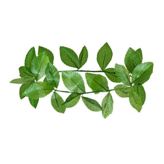 Couronne De Laurier vert / Couronne Feuilles de Lauriers Verts / La Maison Du déguisement