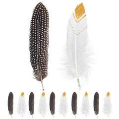 Sachet de 12 Plumes Indien / 12 plumes Indienne / La Maison Du Déguisement