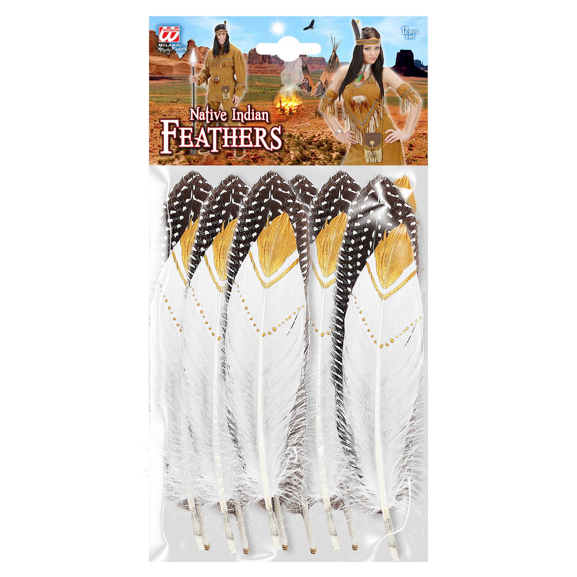 Sachet de 12 Plumes Indien / 12 plumes Indienne / La Maison Du Déguisement