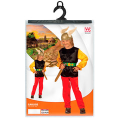 Déguisement Gaulois Enfant / Costume de Gaulois Garçon / La Maison Du Déguisement