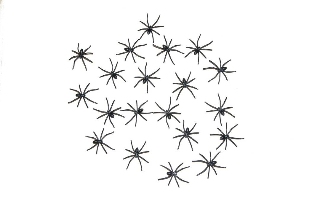 Araignées En Plastique  Lot de 20 / 20 araignées PM / La Maison Du Déguisement
