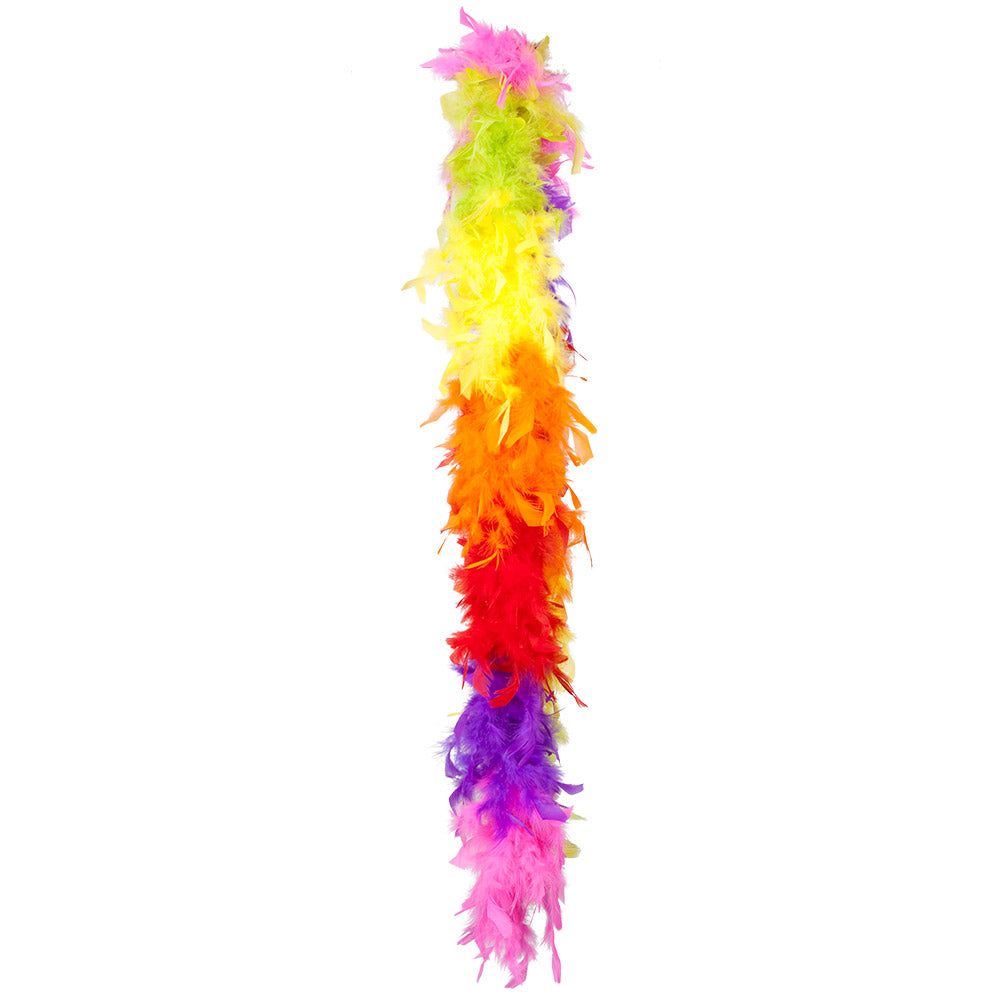 Boa en Plumes Multicolores / Boa plumes Arc en Ciel / La Maison Du Déguisement
