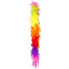 Boa en Plumes Multicolores / Boa plumes Arc en Ciel / La Maison Du Déguisement