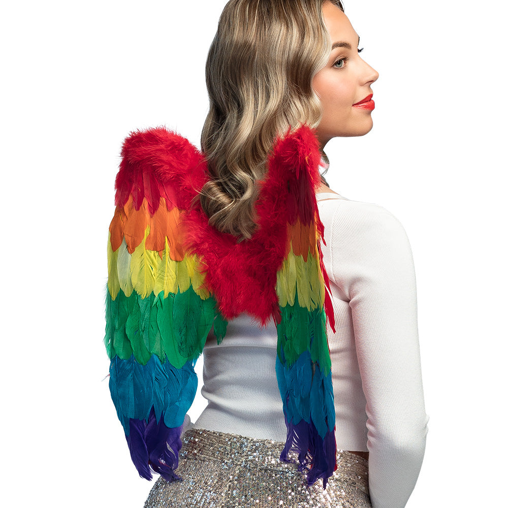 Ailes Ange arc-en-ciel / Ailes en Plumes Multicolores / La Maison du Déguisement