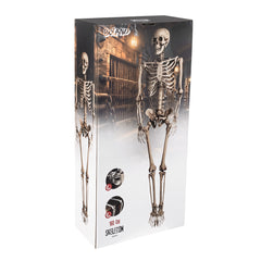 Squelette à Poser / Décoration Suspendue Squelette Blanc / La Maison Du Déguisement