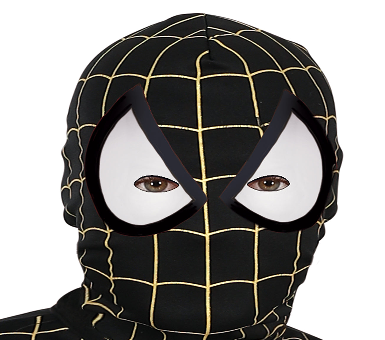Déguisement Spider héros Noir / Costume Spider Héros Noir / La Maison Du Déguisement