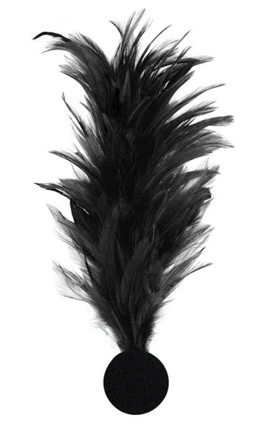 Broche Plumes Noir / La Maison Du Déguisement