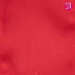 Foulard Rouge / Écharpe en Satin Rouge / La Maison Du Déguisement