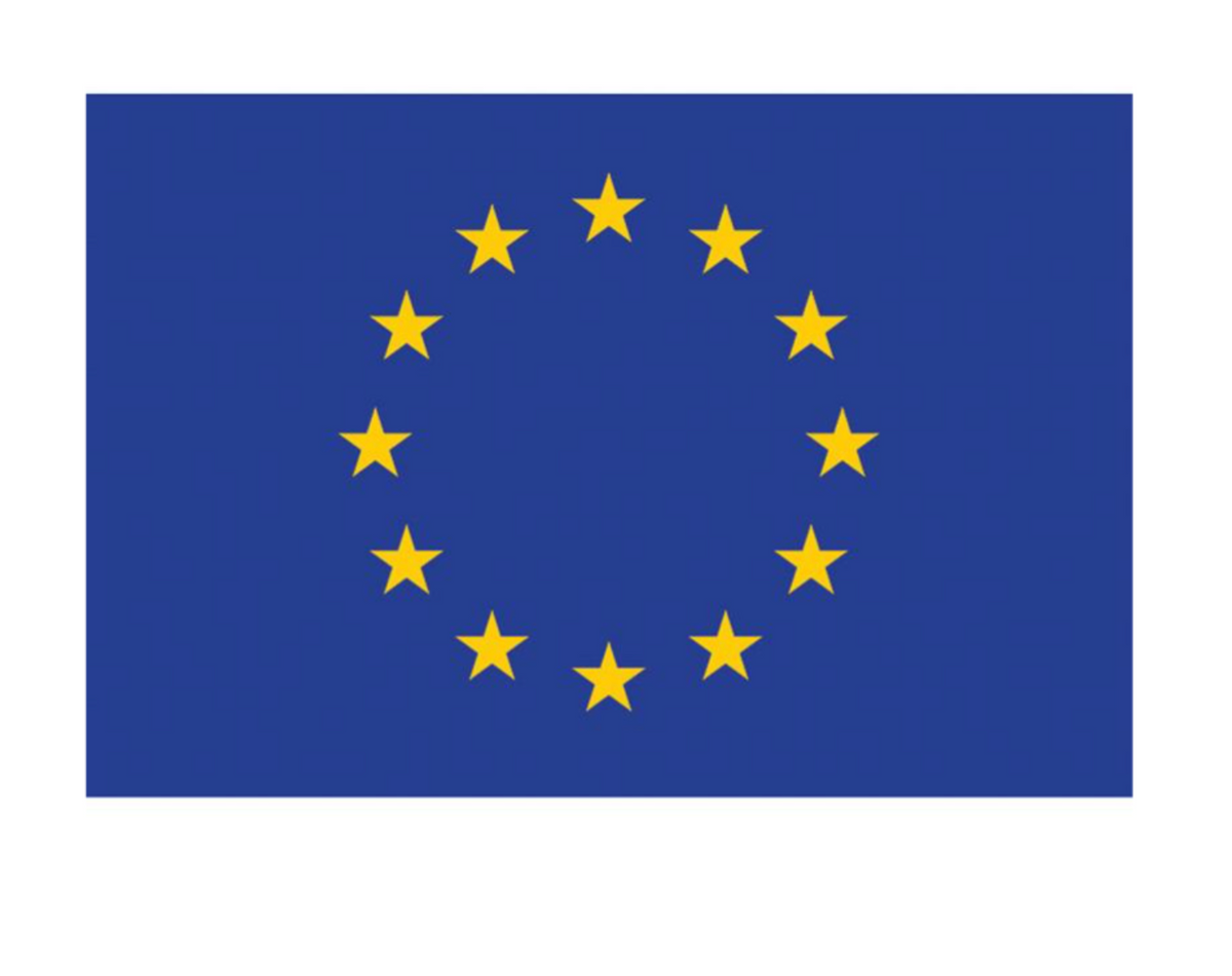 Drapeau Europe, 90x150 CM / Européen Flag / La Maison Du Déguisement
