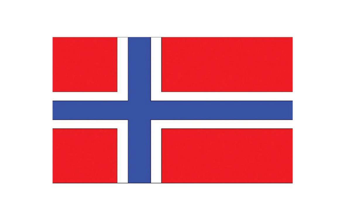 Drapeau Norvège, 90x150 CM / Norway Flag / La Maison Du Déguisement