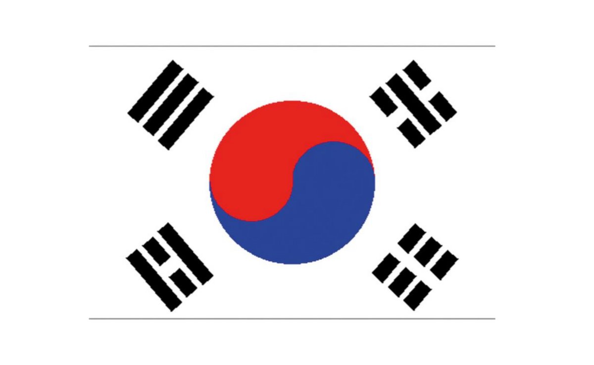 Drapeau de la Corée du Sud, 90x150 CM / South Korea Flag / La Maison Du Déguisement