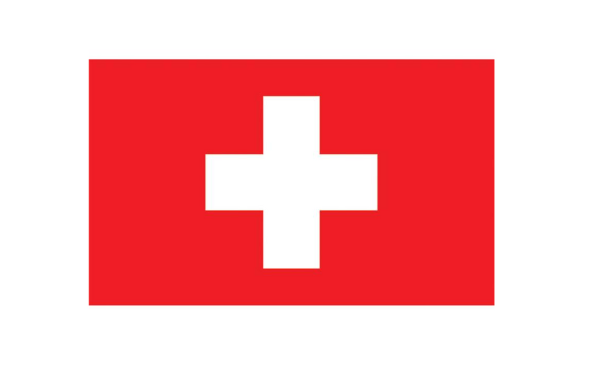Drapeau de la Suisse, 90x150 CM / Swiss Flag / La Maison Du Déguisement