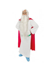 Déguisement Panoramix Licence Adulte / Costume Panoramix, Druide Luxe Homme / La Maison Du Déguisement